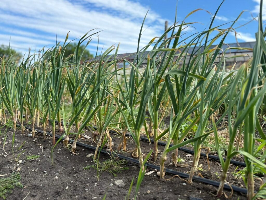 photo 2026 02 17 11 31 50