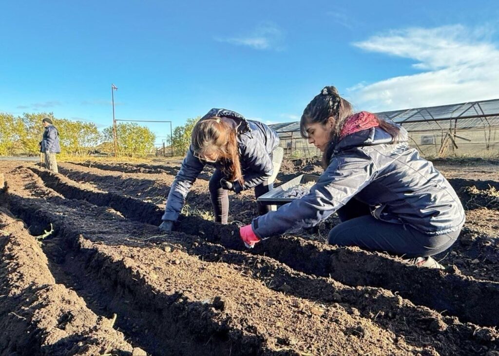 photo 2026 02 17 11 31 51