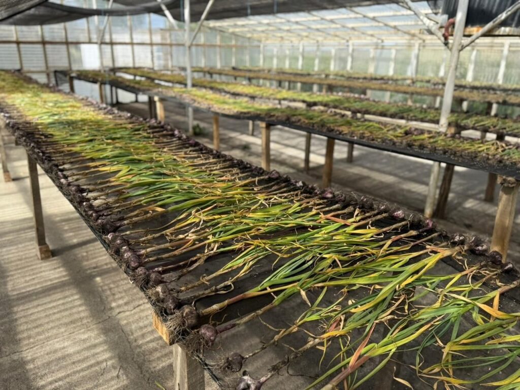 photo 2026 02 17 11 31 54