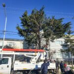 photo 2026 03 02 15 34 10