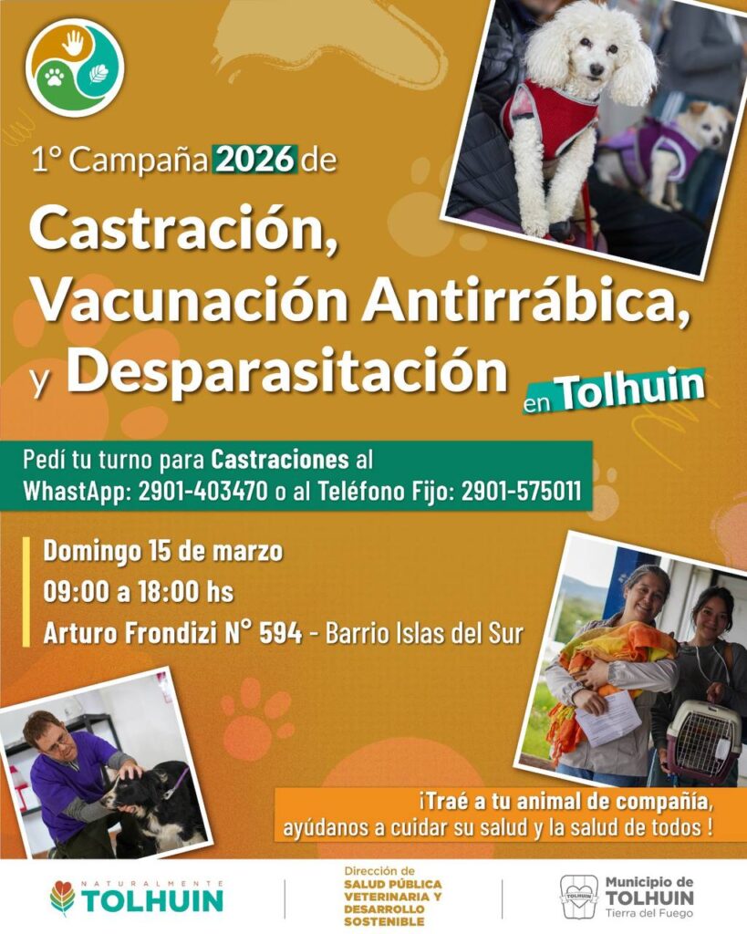 photo 2026 03 11 11 25 06