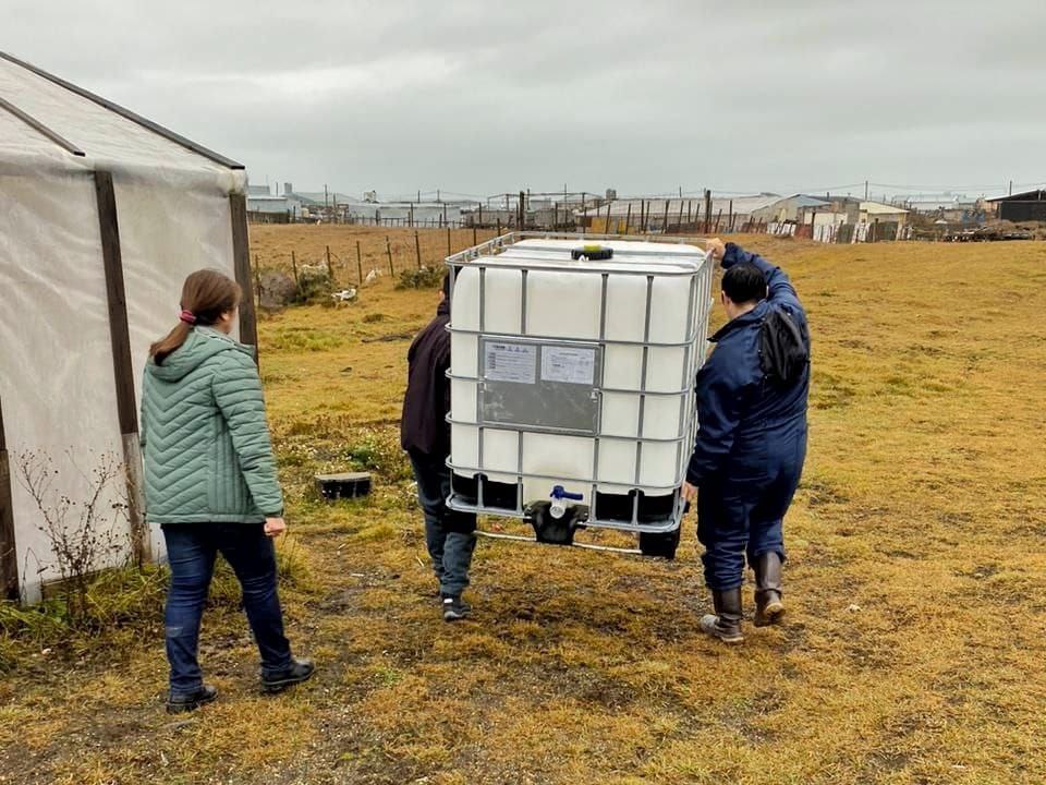 photo 2026 03 11 11 31 13