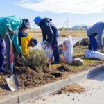 photo 2026 03 15 19 55 52 (2)