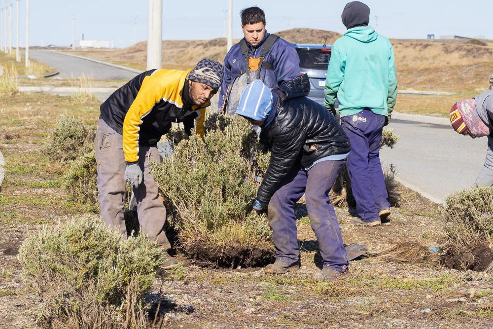 photo 2026 03 15 19 55 52