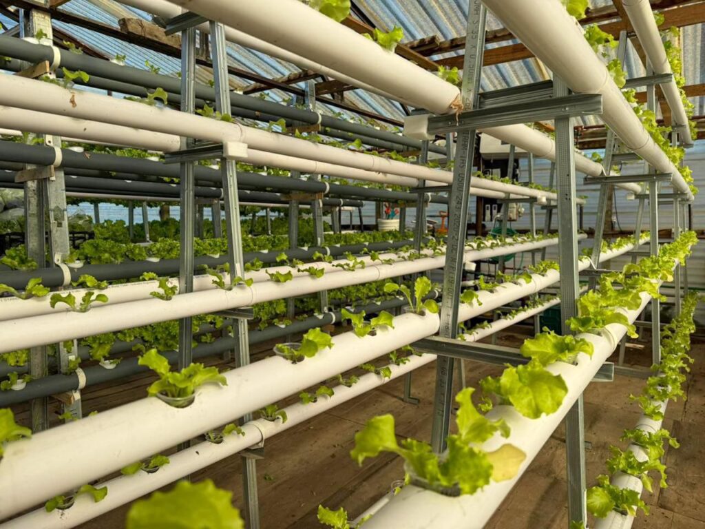 photo 2026 03 17 10 00 42 (2)