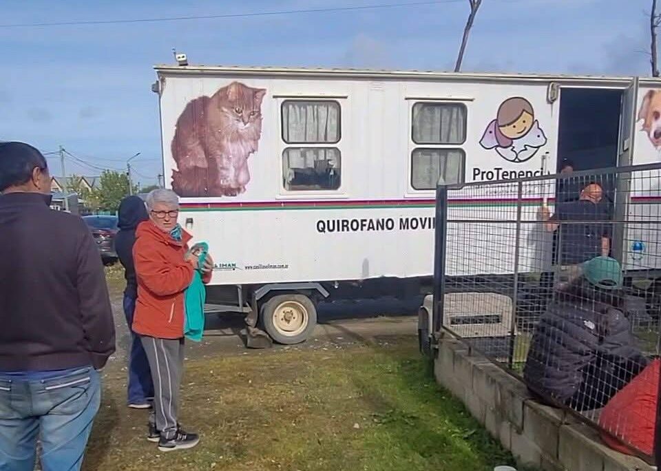 Se realizó en Tolhuin la primera jornada del año de castración, desparasitación e identificación animal