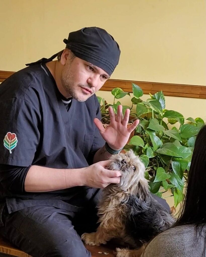 photo 2026 03 17 10 03 36