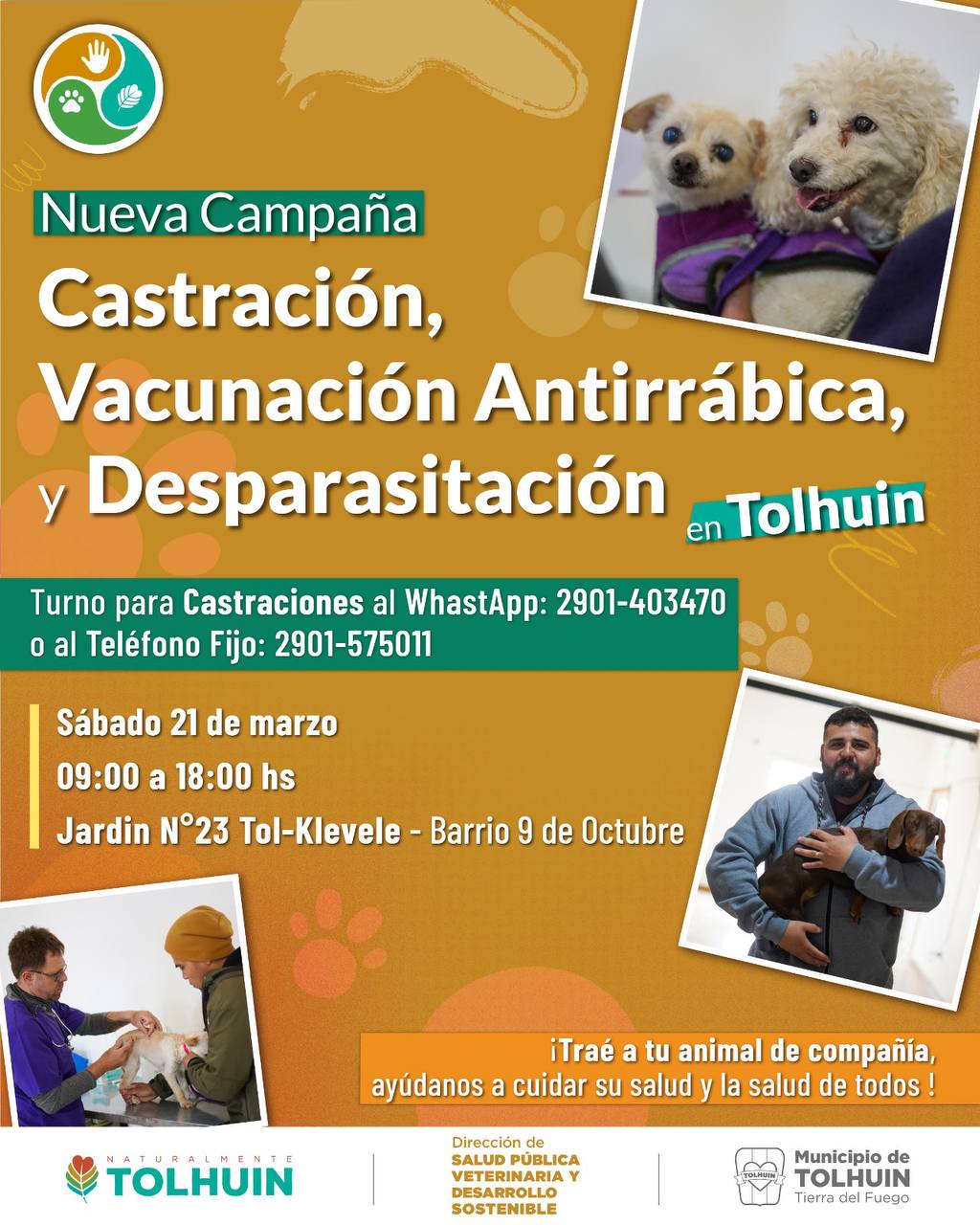 El Municipio de Tolhuin pone en marcha una nueva campaña gratuita de cuidado animal