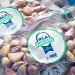 photo 2026 03 26 14 52 27 (2)