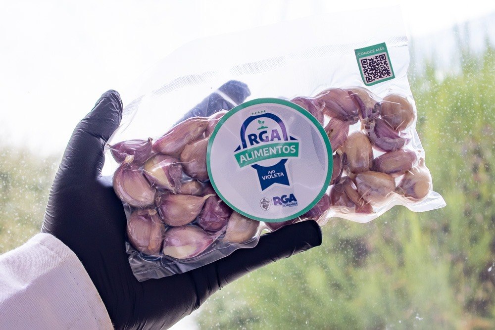 photo 2026 03 26 14 52 27