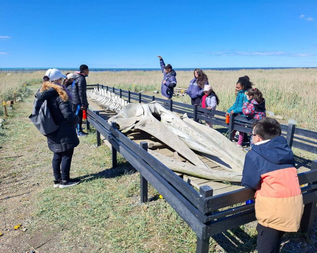 photo 2026 03 29 20 35 04