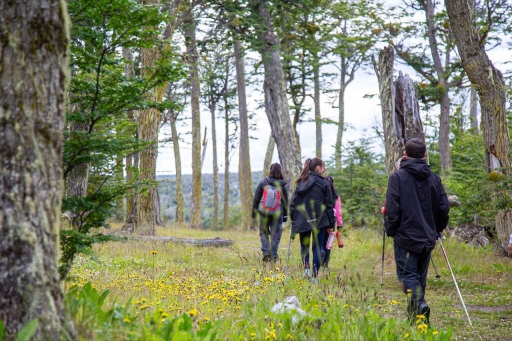 photo 2026 04 01 19 18 50 (2)