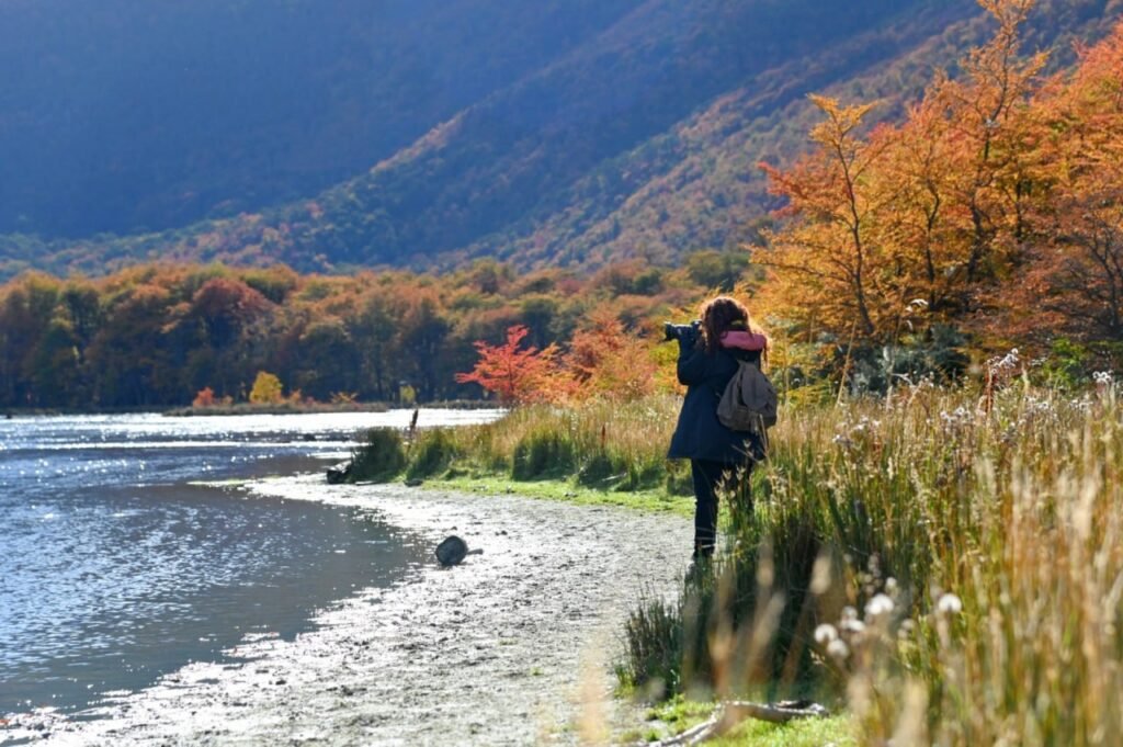 photo 2026 04 05 15 40 56 (2)