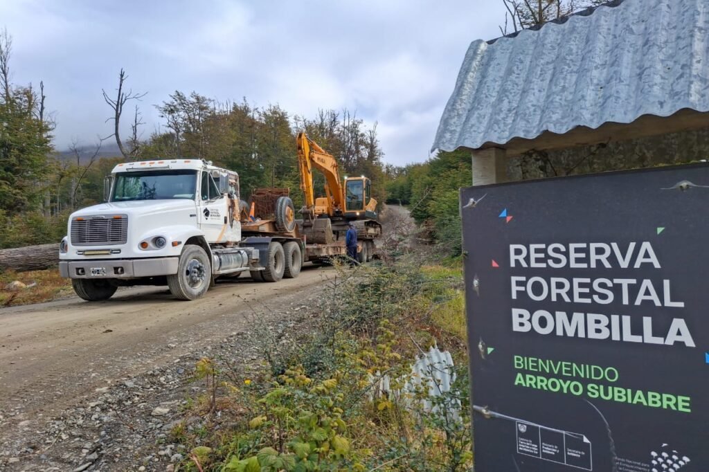 photo 2026 04 06 15 31 13