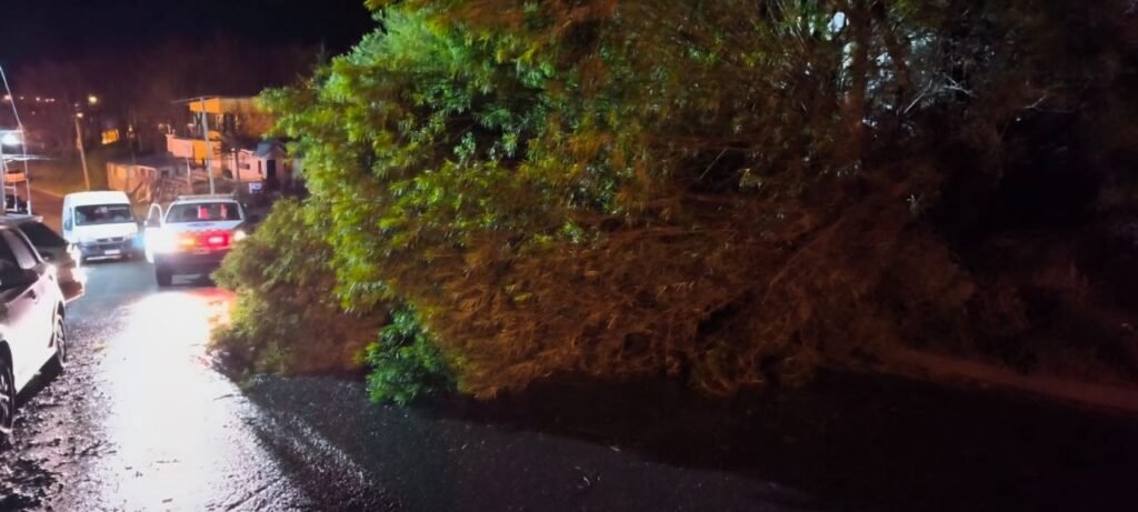 photo 2026 04 13 10 27 04