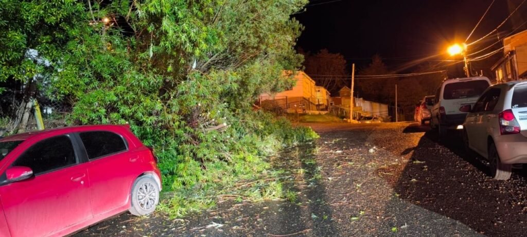 photo 2026 04 13 10 27 04 (2)