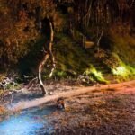 photo 2026 04 13 10 27 05