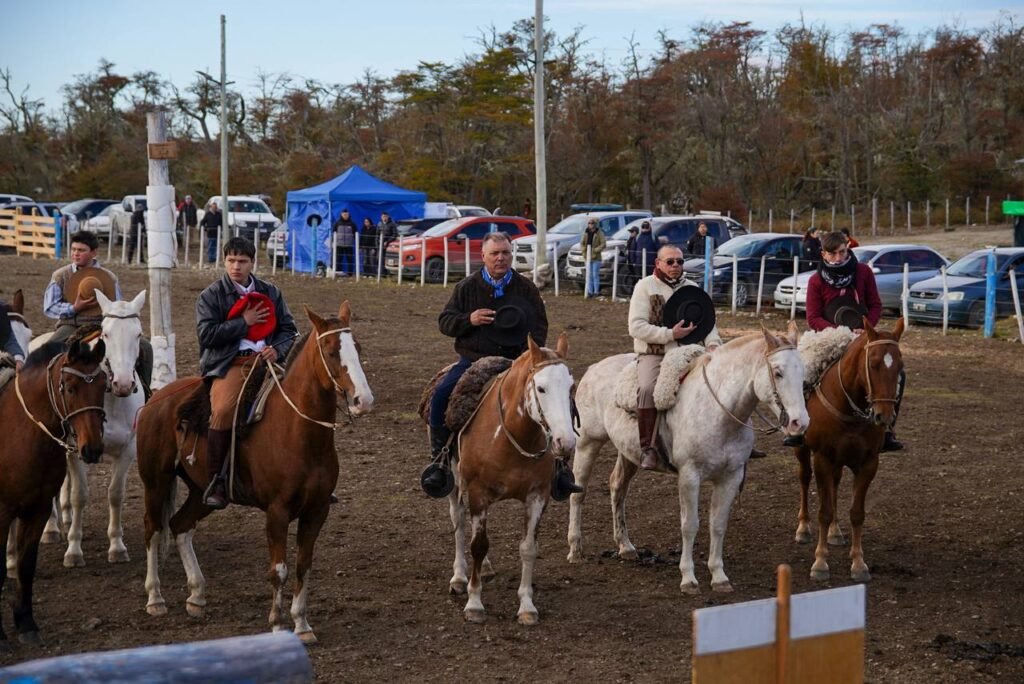 photo 2026 04 14 20 24 02