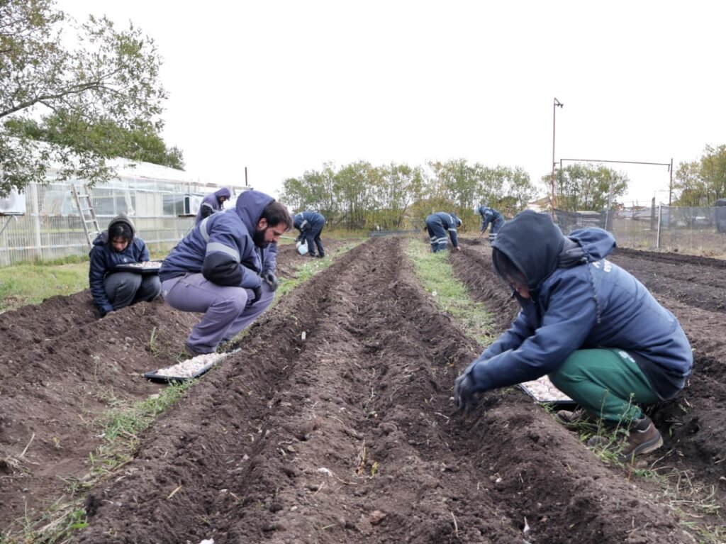 photo 2026 04 15 16 31 34