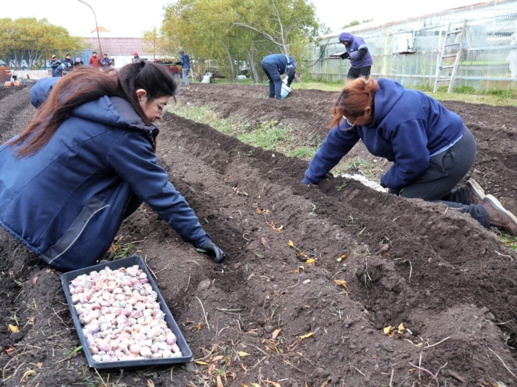 photo 2026 04 15 16 31 34 (2)