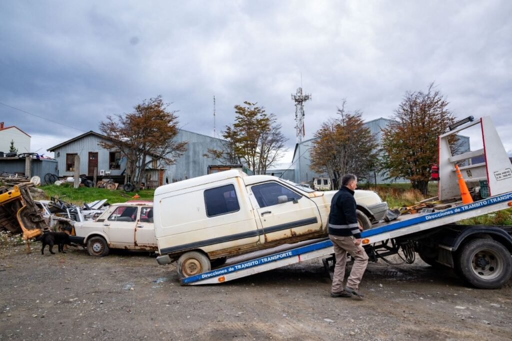 photo 2026 04 17 19 49 21 (2)