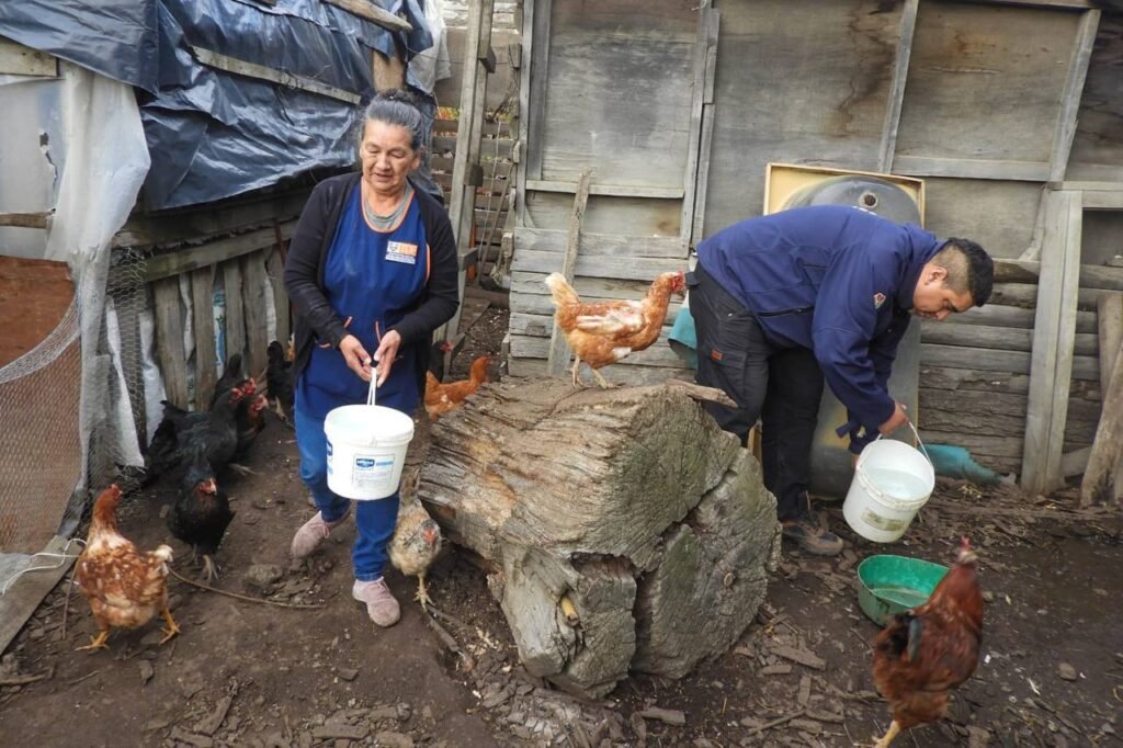 photo 2026 04 27 23 49 41