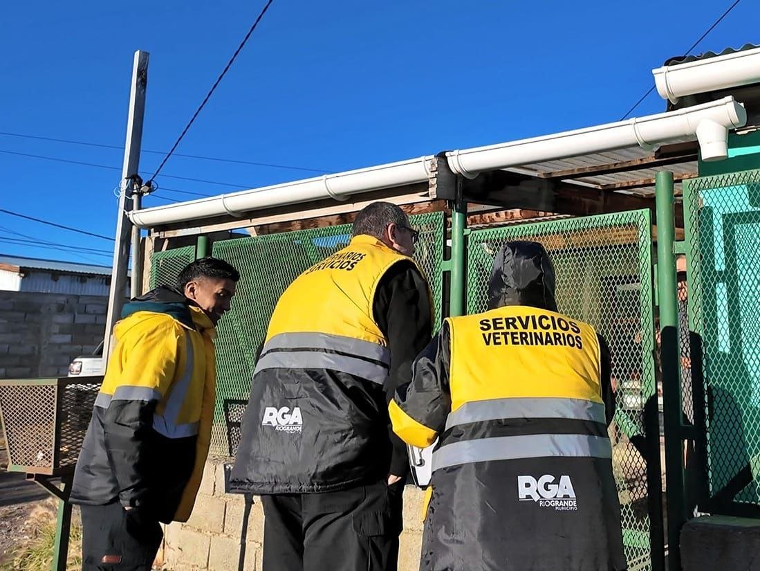Despliegue territorial de servicios veterinarios en Zona Sur y B° Malvinas Argentinas