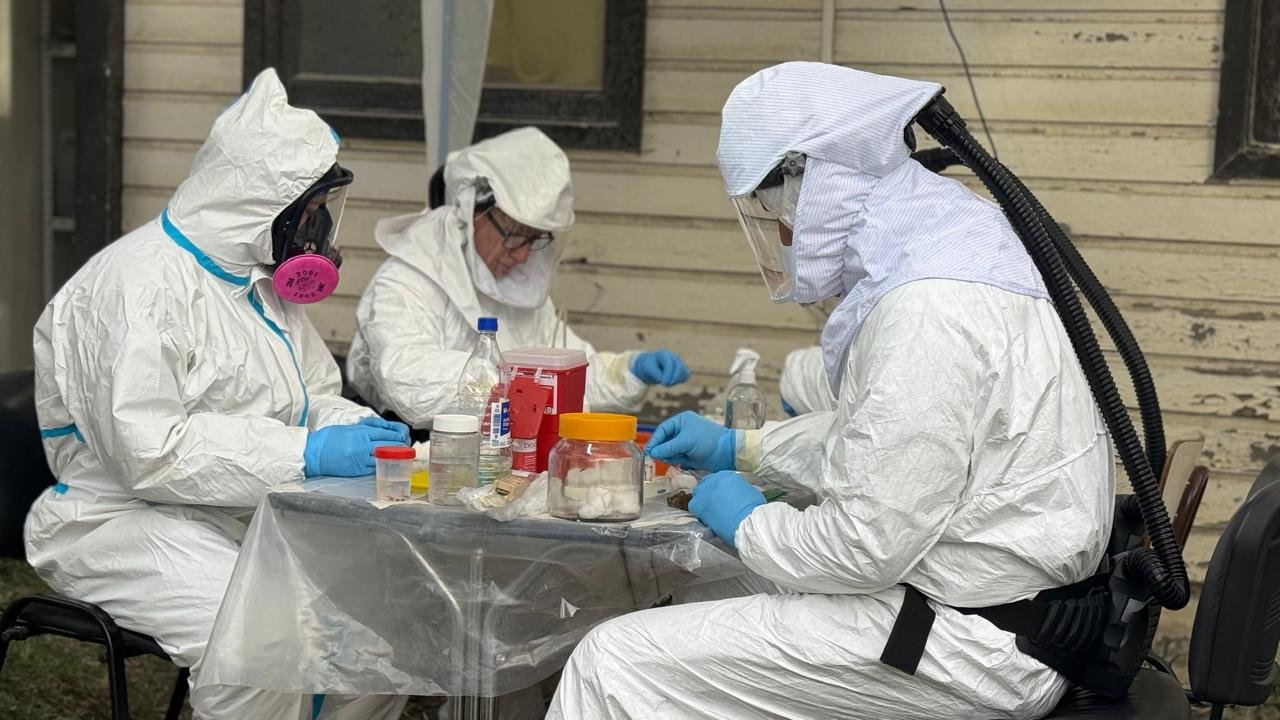 Salud confirmó que la variante de Hantavirus vinculada al crucero MV Hondius no circula en Ushuaia