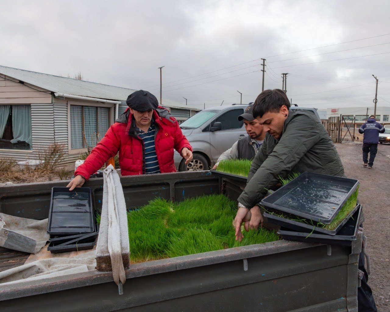 El Municipio produce forraje verde hidropónico para fortalecer a los productores avícolas de la ciudad