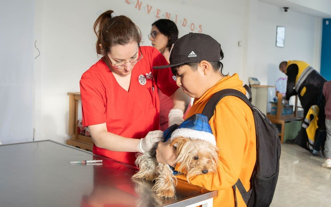 RGA Mascotera: nueva jornada de vacunación, chipeo y adopción responsable