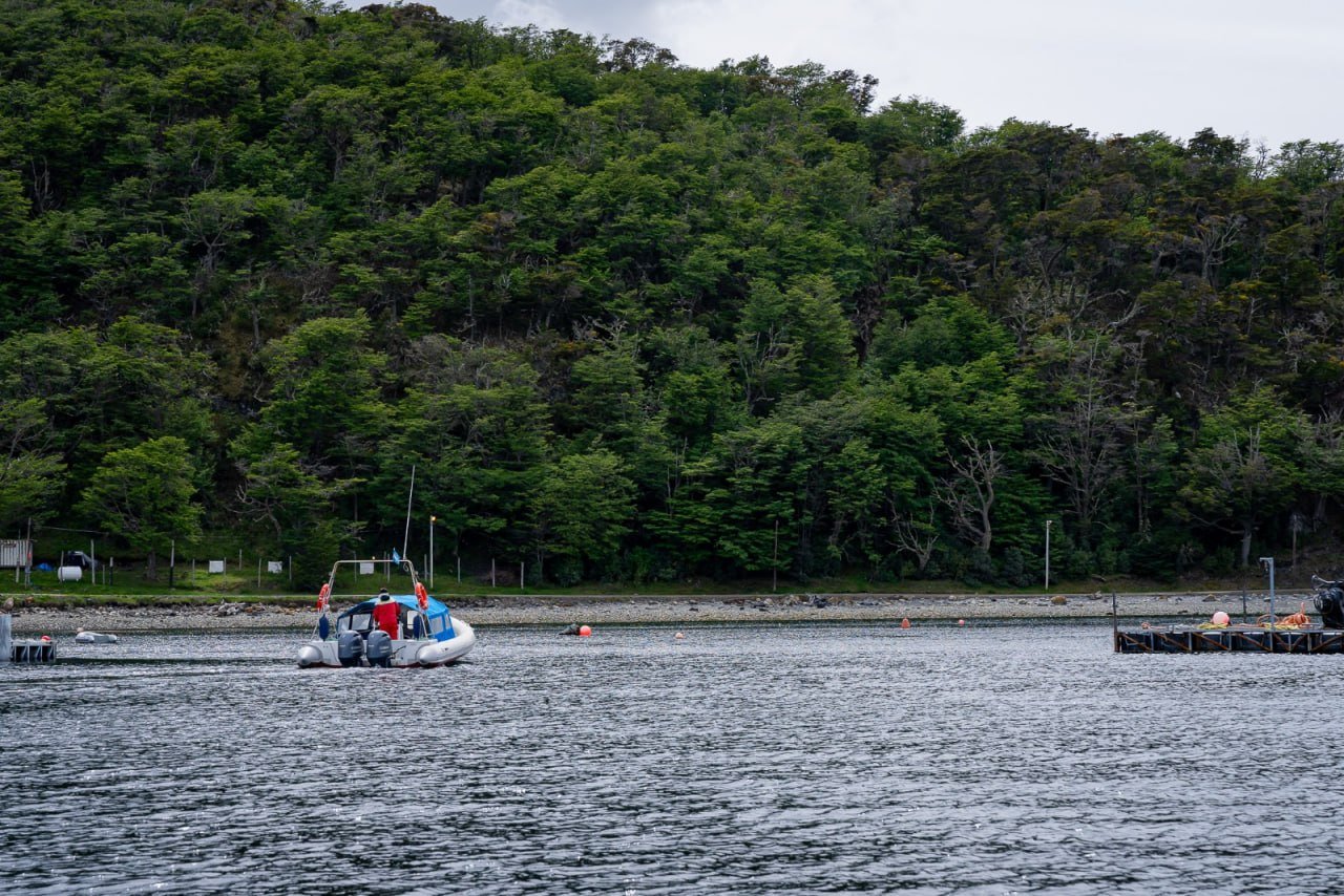 Se abren las inscripciones para las jornadas de capacitación «Zona Especial Canal Beagle»