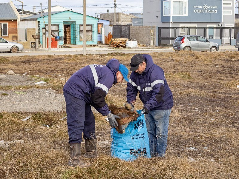 El Municipio continúa trabajando en el saneamiento urbano de la ciudad