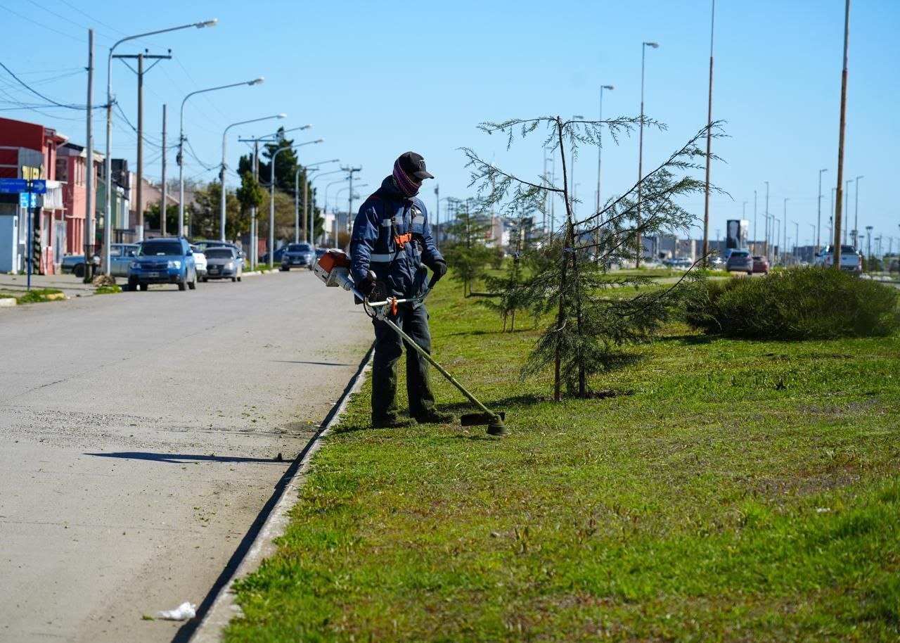 Río Grande se prepara para la temporada estival con tareas de embellecimiento urbano
